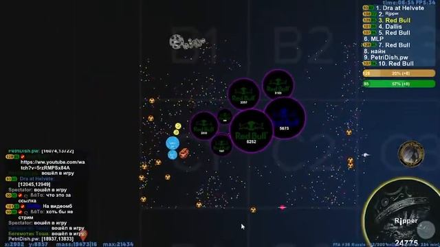 Petridish.pw | играем с вкладок смотреть онлайн