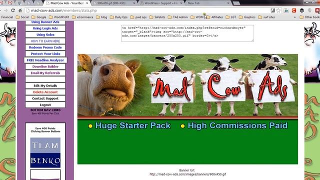 How to Determine Image Size with Chrome Browser смотреть онлайн