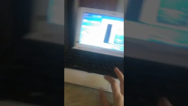 Как скачать windows xp смотреть онлайн