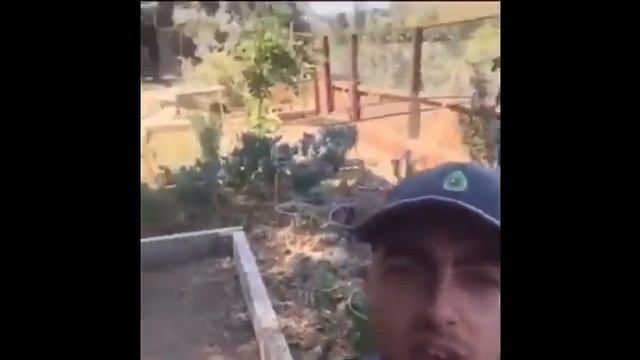 Mac Miller Reminder смотреть онлайн