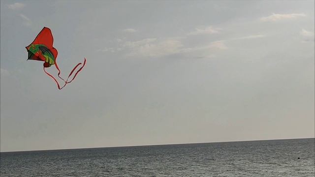 Запуск воздушного змея дело серьёзное и не каждый взрослый сумеет это сделать. смотреть онлайн