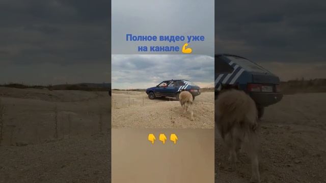 На что способна Девятка 👍#алтай #ваз #ваз2109 #маламут#оффроад смотреть онлайн