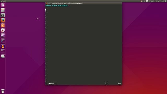 fasm 0 - Introduction смотреть онлайн