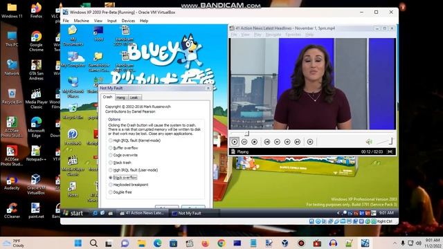 Windows XP BSOD 148 (2022) смотреть онлайн
