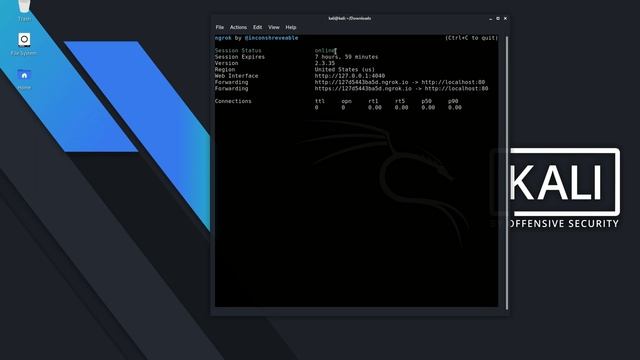How to install Ngrok in Kali Linux 2020 | смотреть онлайн