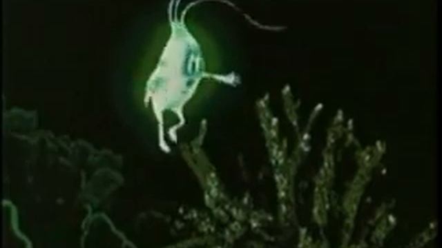 Svetlyachok (Firefly) смотреть онлайн