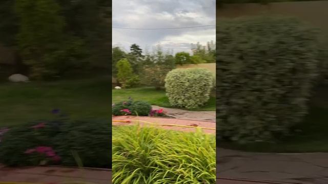 Дача 🐶 смотреть онлайн
