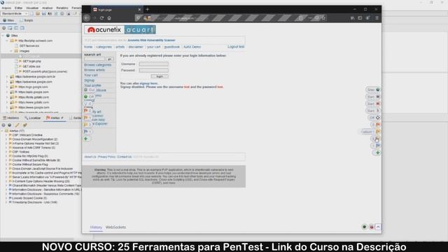 Automatização de Análises em Sistemas Web com Zed Attack Proxy смотреть онлайн