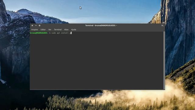 COMO FORMATAR UM PENDRIVE (ou HD) NO LINUX EM 1 MINUTO! смотреть онлайн