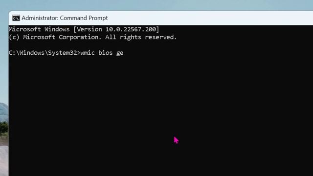 ✔️ Windows 11 | How to Check Computer Serial Number смотреть онлайн