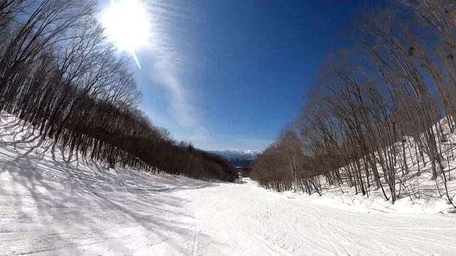 [4K30P.Front] 2021.02.14 Takatsue ski resort, course 14, take 2, ground camera angle смотреть онлайн