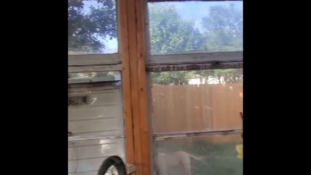 Old Windows Green House - Completed! смотреть онлайн