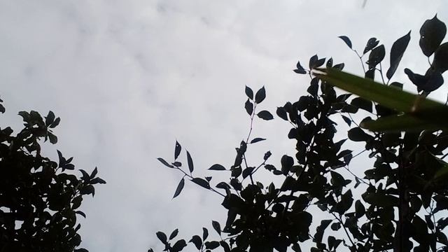 20241020_123506.mp4 смотреть онлайн