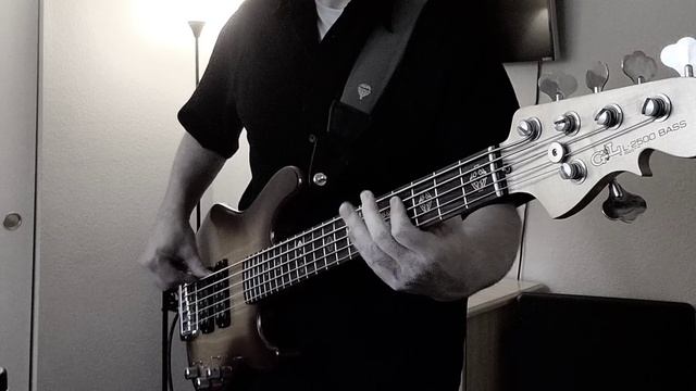 Fleetwood Mac - Bleed to Love Her (Bass Cover) смотреть онлайн
