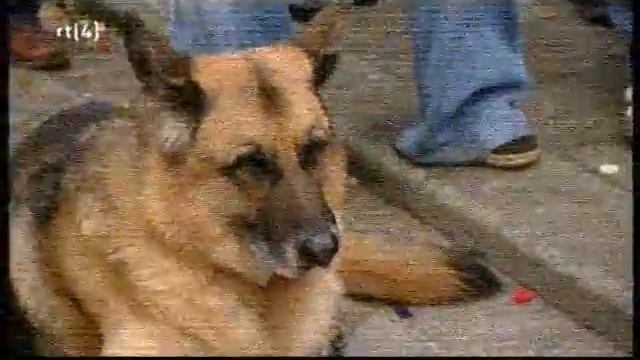 AverTV Super 007 - Very bad quality TV sample смотреть онлайн