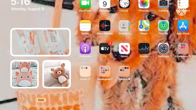 Let’s see your iPad! | It’s Naomi 🦩⚡️🥺🌺✈️💗 смотреть онлайн
