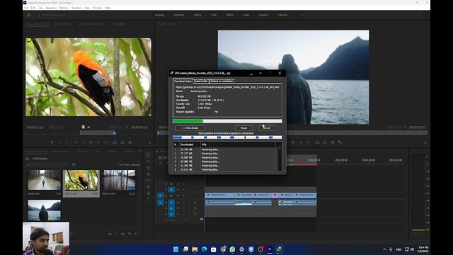 Premiere pro video editing series |Episode 7| Lets Edit смотреть онлайн