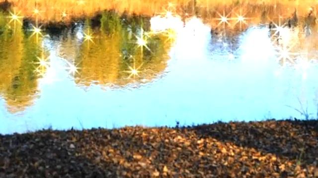 Никола Дмитриев_Школа, это где....wmv смотреть онлайн
