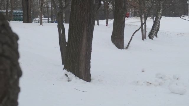 Mac DeMarco - For The First Time (Unofficial clip) смотреть онлайн