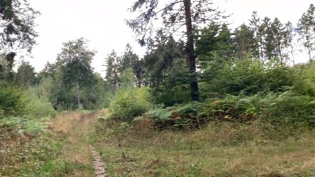 Tried DXing in the woods again, this time with the RELIABLE Tecsun PL-880 смотреть онлайн