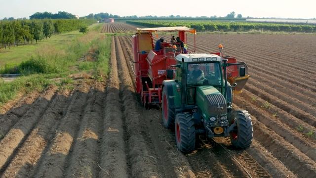 Raccolta Patate 🥔 Fendt 516 + Grimme SE260 | AIA RICCI смотреть онлайн