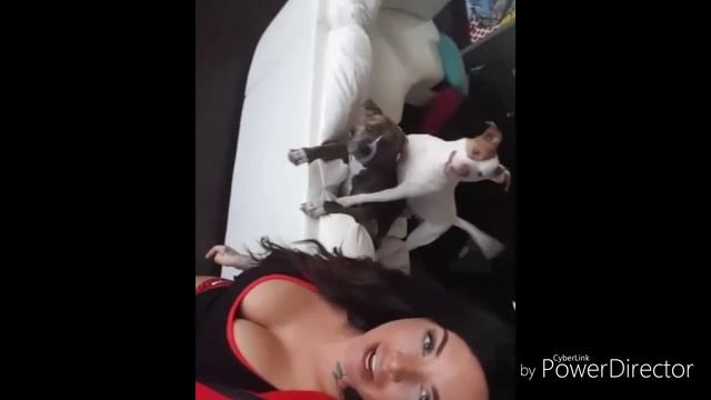 Christy Mack HD смотреть онлайн