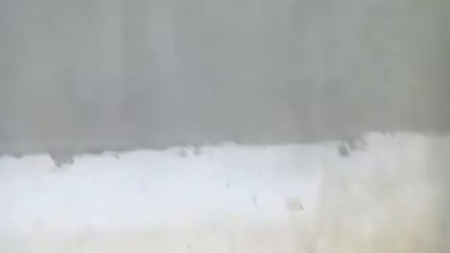 Открыл кокос на изи смотреть онлайн