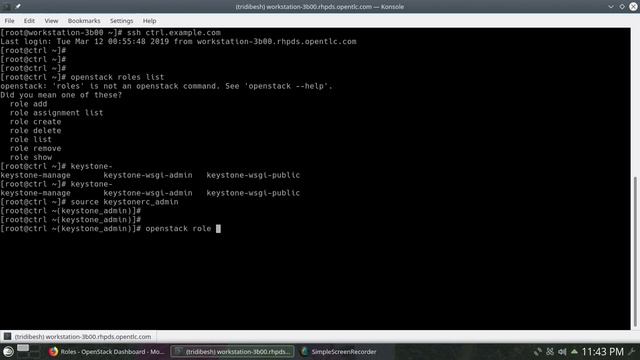 Manage roles in Openstack platform [Redhat Openstack Platform 16] || [Live demo] смотреть онлайн