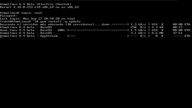 Hardening en Sistemas Operativos | Gestión de la Seguridad Informática | Wild IT Academy смотреть онлайн