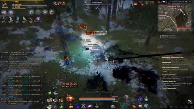 Black Desert смотреть онлайн