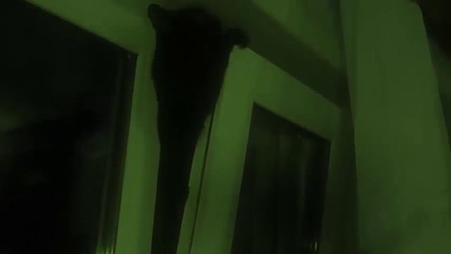Соня забирается в окно=D смотреть онлайн