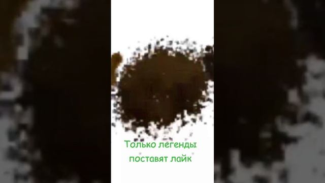 Только легендам #рек #youtube #windowsxp #roblox #progressbar95 #window #windows11 #windows7 смотреть онлайн