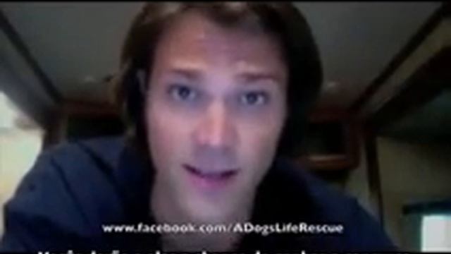 Hotmail henrique @msn com Windows Live Original mpeg1video смотреть онлайн