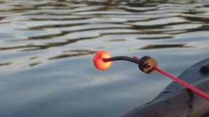 ВЕДРО РЫБЫ ЗА УТРО... ЛОВЛЮ СРАЗУ НА ДВЕ УДОЧКИ.... ПОПАЛ НА ЖОР ЛЕЩА И ГУСТЕРЫ.