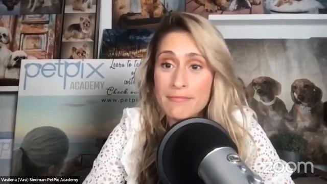 Vasi Seidman Celebrity Pet Photographer смотреть онлайн