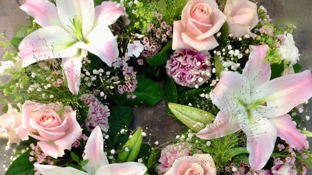 My Wife always saw them. They look very Human, but also like an Animal. смотреть онлайн