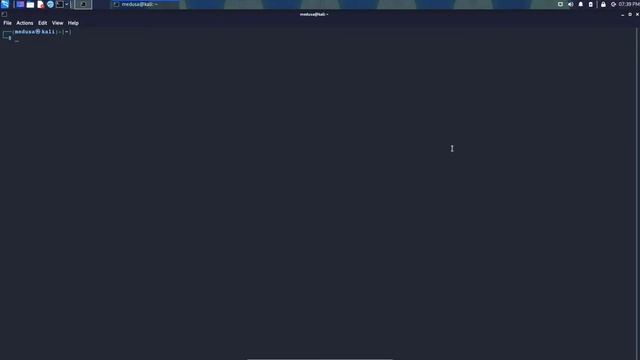 Find Hidden Domain, Subdomain or IP addresses through TLS SANs Certificate смотреть онлайн