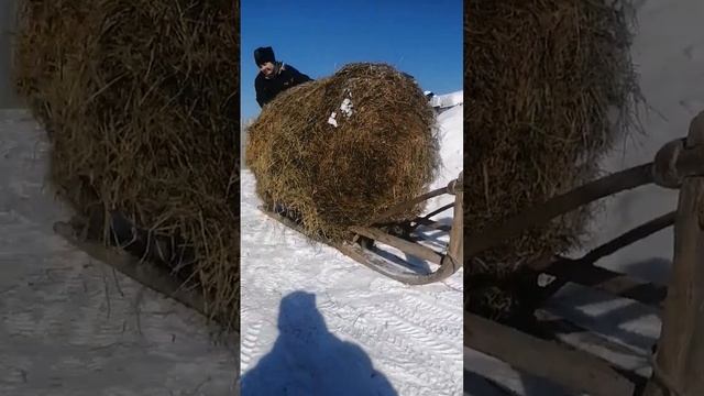 деревня окунево и рулоны смотреть онлайн