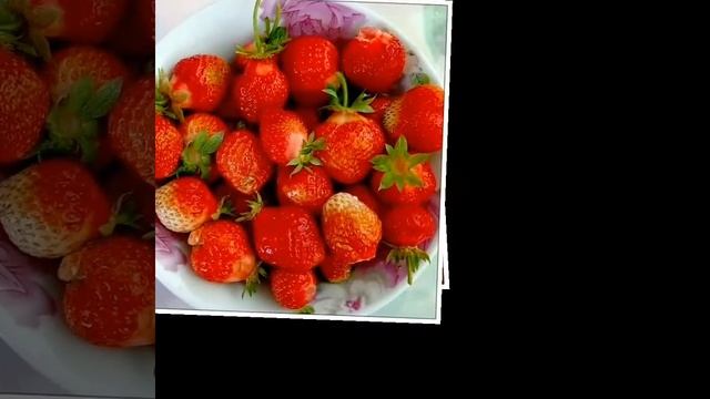 Природа картинки. смотреть онлайн
