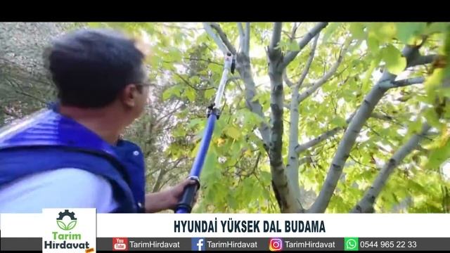 HYUNDAİ YÜKSEK DAL BUDAMA смотреть онлайн