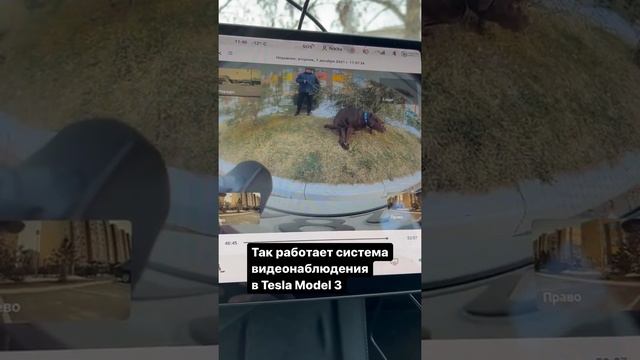Как работает видеонаблюдение в Tesla Model 3 #tesla #teslamodel3 #тесла смотреть онлайн
