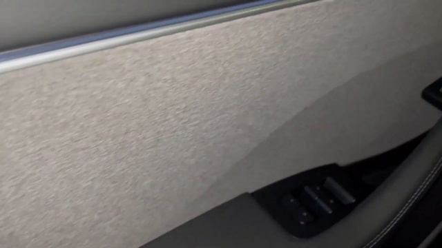 Tesla Model 3 Highland Delivery Day