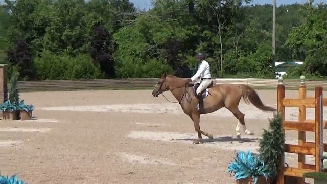 SOLD- RED CAP- 3ft Htr Warmblood Gelding смотреть онлайн