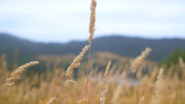 Медитация Прости Себя | Практики Глубокого Расслабления | Айяти Йога | AYATI YOGA| смотреть онлайн