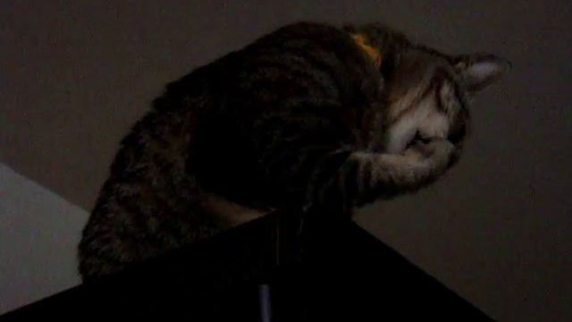 The Apples in stereo - Questions and Answers смотреть онлайн