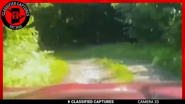 This Trail Cam Captured The Unthinkable смотреть онлайн