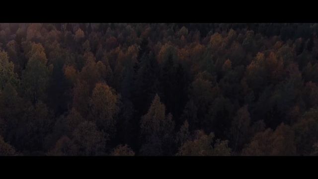 Younes Tei - Echoes Of Enchantment (Official Music Video) | Epic Fantasy Music смотреть онлайн