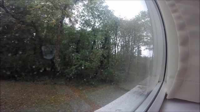 Looking out my Window смотреть онлайн