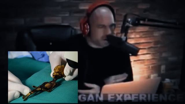 Joe Rogan - Dr. Steven Greer смотреть онлайн