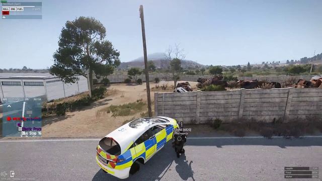Roleplay.co.uk | pigs can fly!! смотреть онлайн